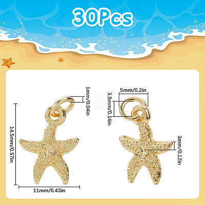 30Pcs Electroplated Alloy Charms FIND-SC0012-41-1