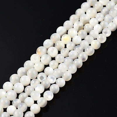 Natural White Shell Bead Strands SSHEL-N003-144C-01-1