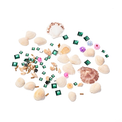 DIY Peacock Pattern Shell Conch Disk Paste Painting For Kids DIY-P035-05-1