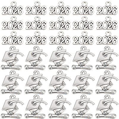 100Pcs 2 Styles Alloy Pendants FIND-SC0021-89AS-1