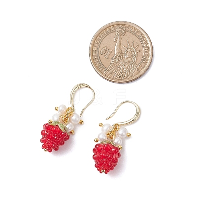 Handmade Lampwork Dangle Earrings EJEW-JE06623-1
