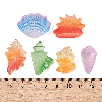 Luminous Resin Shell Shape & Conch Display Decorations RE-CBA17C4-22-1