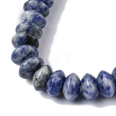 Natural Blue Spot Jasper Beads Strands G-F743-05B-1