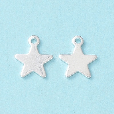 304 Stainless Steel Charms X-STAS-L234-069S-1