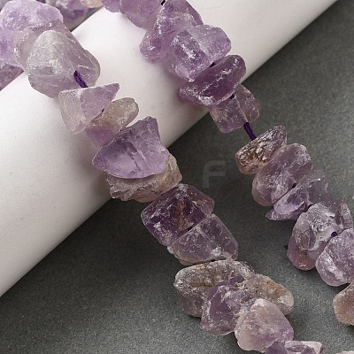 Natural Amethyst Beads Strands G-I283-F24-1