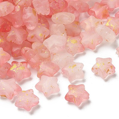 Frosted Acrylic Charms OACR-M023-04H-1
