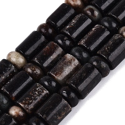 Natural Biotite Beads Strands G-Q616-09B-1
