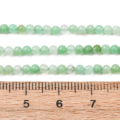 Natural Chrysoprase Beads Strands G-H358-A04-3mm-01-1