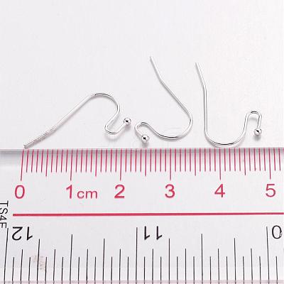 Brass Earring Hooks J0JQN-S-1