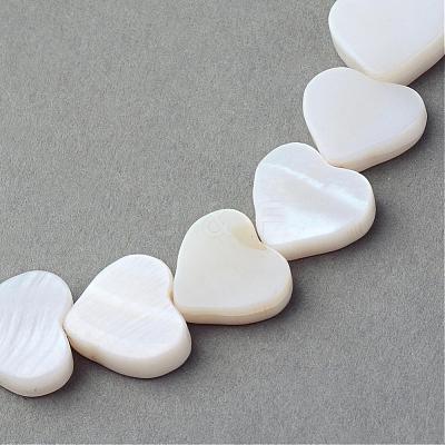 Natural Freshwater Shell Beads Strands SSHEL-Q296-40-1