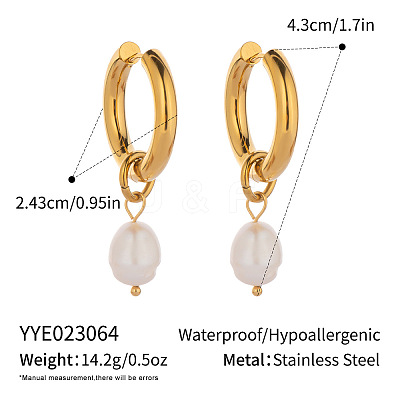Stainless Steel Hoop Earrings ZU9248-3-1