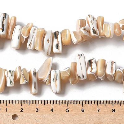 Dyed Natural Trochus Shell Beads Strands X-SSHEL-C013-09K-1