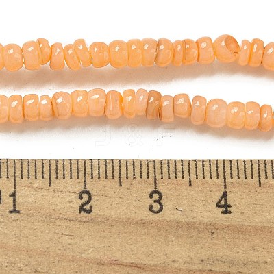Dyed Natural Freshwater Shell Beads Strands X1-BSHE-G039-07A-1