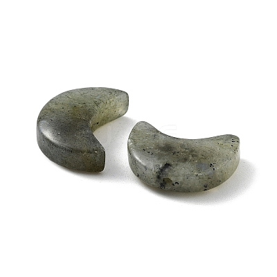 Natural Labradorite Beads X-G-NH0001-01D-1