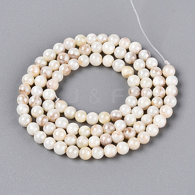 AB Color Natural Freshwater Shell Beads Strands BSHE-T014-40C-1