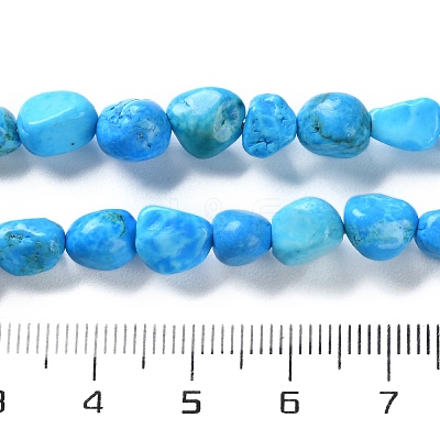 Natural Howlite Turquoise Beads Strands G-P497-01C-55-1