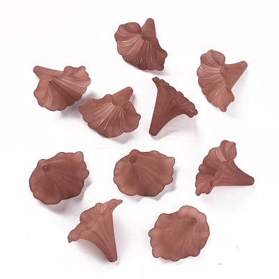 Transparent Acrylic Beads BSF796-C06-1
