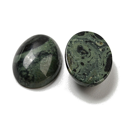 Natural Kambaba Jasper Cabochons G-C115-01A-22-1