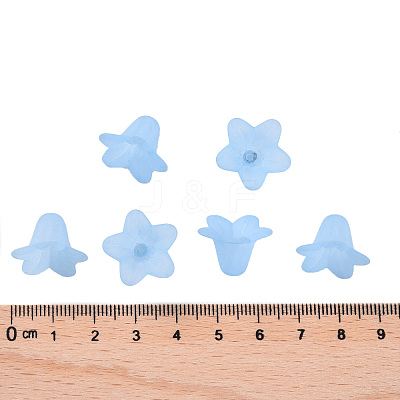 Transparent Acrylic Beads X-PLF018-06-1