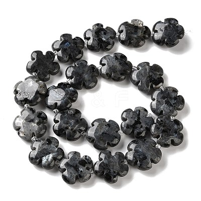 Natural Larvikite Beads Strands G-L241A-21-1