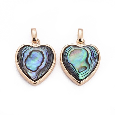 Natural Abalone Shell/Paua ShellCharms X-BSHE-F011-04B-G-1