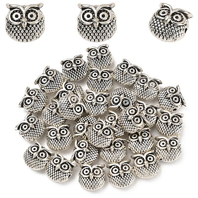 30Pcs Tibetan Style Alloy Beads TIBEP-YW0002-10-1