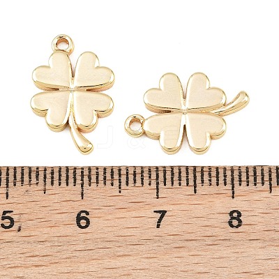 304 Stainless Steel Pendants SA-CBA76DA-14G-B-1