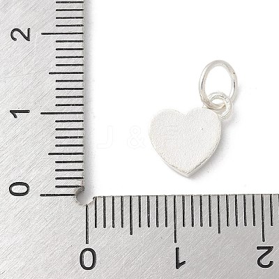 S925 Sterling Silver Pendant STER-H115-05B-S01-1