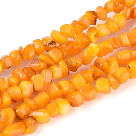 Natural Freshwater Shell Beads Strands SHEL-N037-04G-1