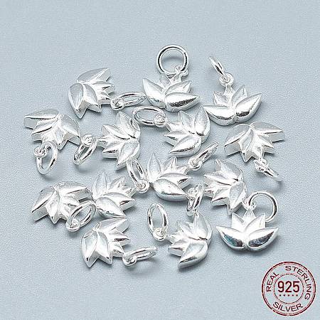 925 Sterling Silver Charms STER-T002-117S-1