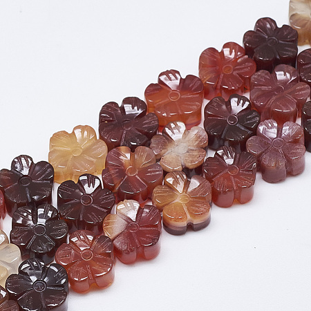 Carved Natural Carnelian Beads Strands G-T122-08E-1
