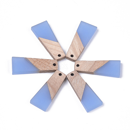 Resin & Wood Pendants RESI-S358-59E-1