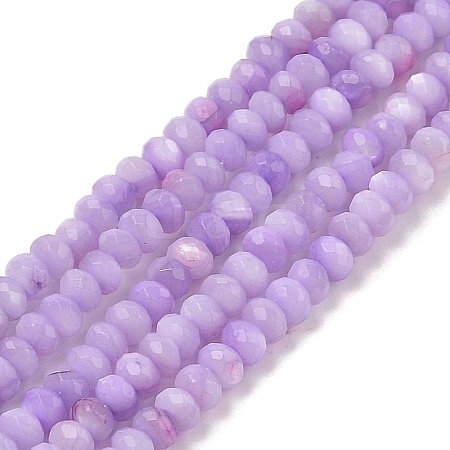 Natural Freshwater Shell Dyed Beads Strands SHEL-R100-13A-01-1