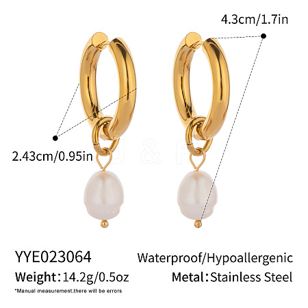 Stainless Steel Hoop Earrings ZU9248-3-1