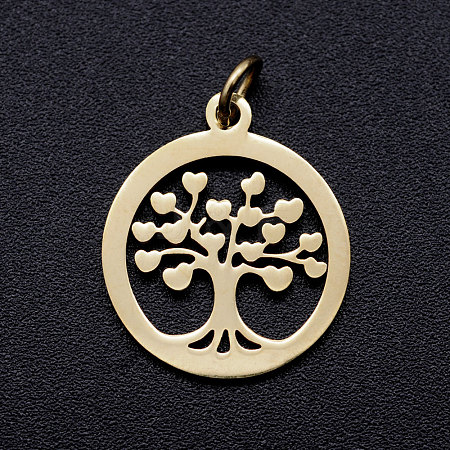304 Stainless Steel Pendants LS-STAS-T046-JA350-2-1