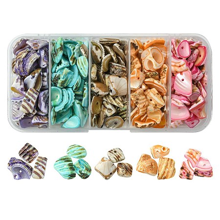 125G 5 Colors Natural Shell Bead Strands BSHE-FS0001-06A-1