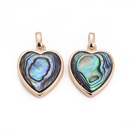 Natural Abalone Shell/Paua ShellCharms X-BSHE-F011-04B-G-1