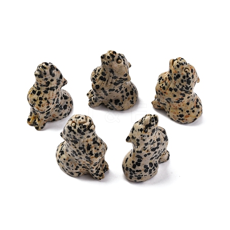 Natural Dalmatian Jasper Display Decorations DJEW-P019-A06-1