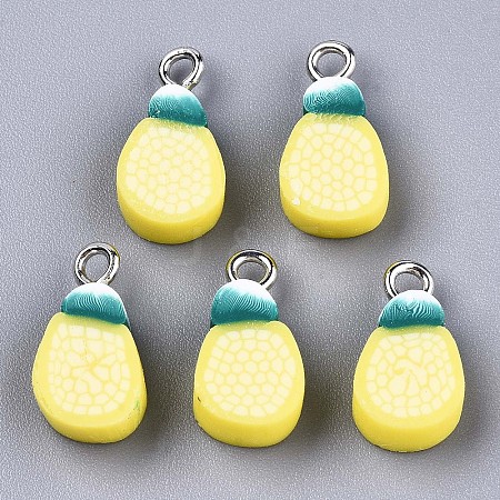 Handmade Polymer Clay Charms LS-CLAY-T016-60-1