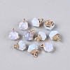 Opalite Pendants G-N359-18G-22-1
