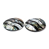 Natural Freshwater Shell & Black Lip Shell & Paua Shell Pendants SHEL-F007-10-3
