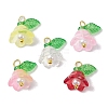 Mixed Color Glass Pearl & Acrylic Charms PALLOY-JF02567-02-1