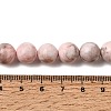 Natural Pink Zebra Jasper Beads Strands G-P231-01-10mm-9