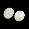 Carved Natural White Shell Cabochons SSHEL-N038-08A-2