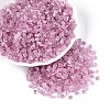 Transparent Inside Colours Glass Seed Beads SEED-T007-13C-3