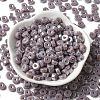 Opaque Colours Luster Glass Seed Beads SEED-E001-P3x6mm-A01-2