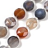 Natural Botswana Agate Beads Strands G-C116-A65-01-2