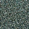 MIYUKI Delica Beads X-SEED-J020-DB2379-3
