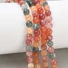 Dyed Natural Malaysia Jade Beads Strands G-G021-02A-27-5
