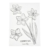 Silicone Clear Stamps DIY-A013-18-2